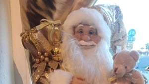 Gráinne Ní Chíobháin show image