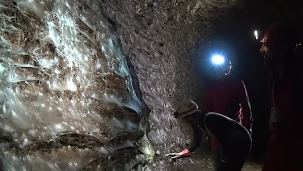 Giant spider web found in Greek-Albanian border cave