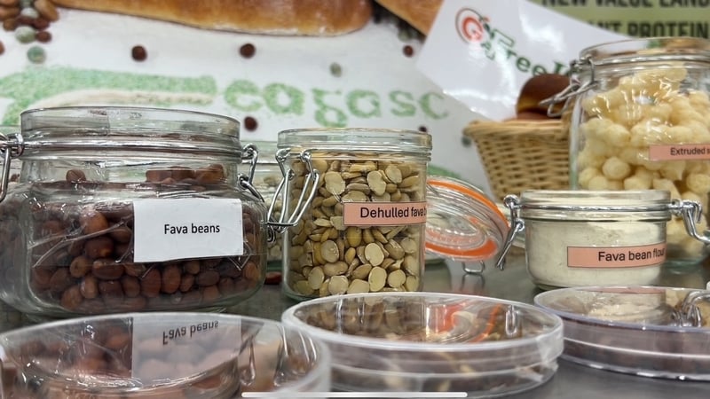 Ireland is one of most food-secure countries, but a more volatile climate and global uncertainty could pose a challenge in the future