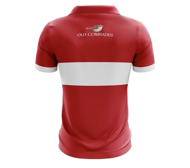 Dingle GAA jersey