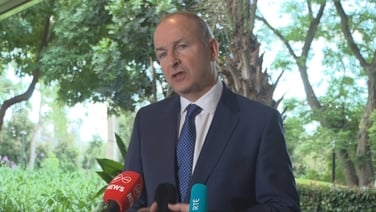 G20 summit 'huge networking opportunity for Ireland', says Taoiseach