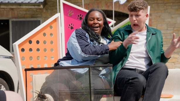 Demi and Adam look scared as they react to seeing a tarantula in a tank.