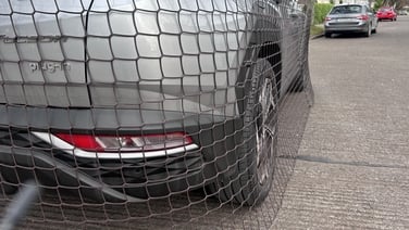 Are foxes behind the damage to dozens of cars in south Dublin?