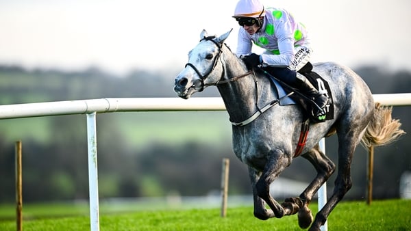 22 November 2025; Lossiemouth, with Paul Townend up, on their way to winning the Unibet Morgiana Hurdle during day one of the Punchestown Premiere Weekend at Punchestown Racecourse in Kildare. Photo by Shauna Clinton/Sportsfile