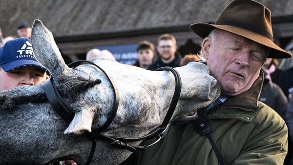 22 November 2025; Trainer Willie Mullins gets a nip from Lossiemouth after winning the Unibet Morgiana Hurdle during day one of the Punchestown Premiere Weekend at Punchestown Racecourse in Kildare. Photo by Shauna Clinton/Sportsfile