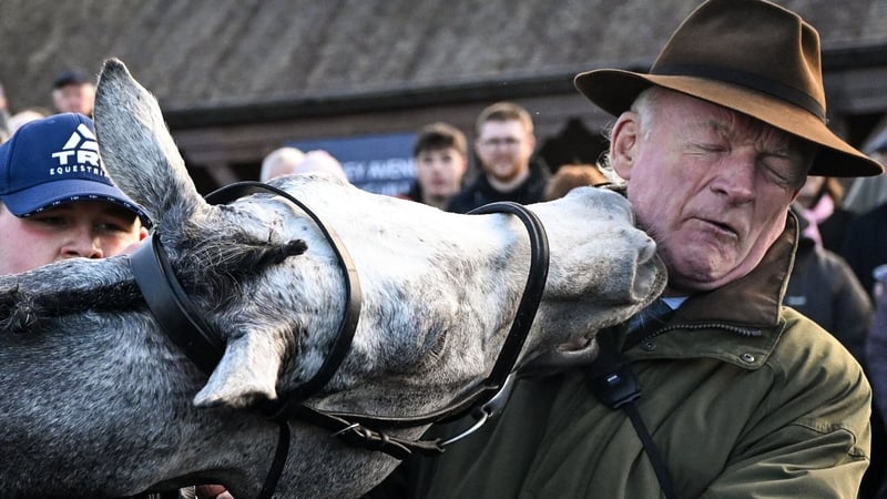 Trainer Willie Mullins gets a nip from Lossiemouth after she won the Unibet Morgiana Hurdle