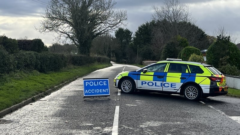 A man and a woman were killed in a two-vehicle road crash at Glenavy, near Lisburn, in Co Antrim
