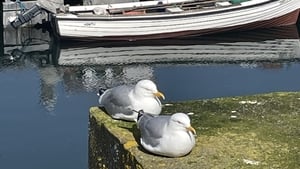 Suaimhneas show image