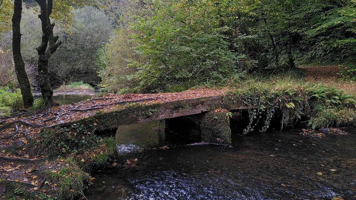 Series 7 Ep 8 | Ambient Orbit