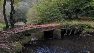 Series 7 Ep 8 | Ambient Orbit show image