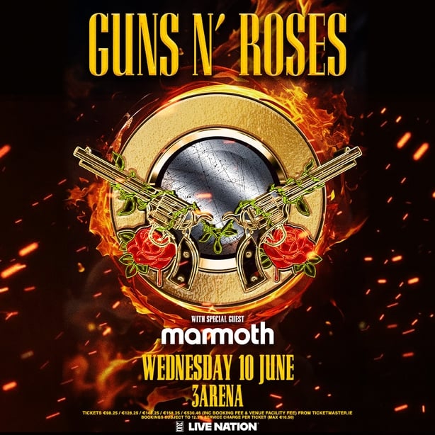Poster for Guns N' Roses' Dublin show