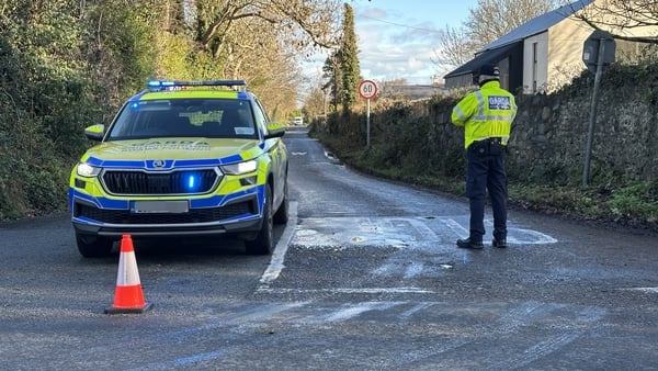 Gardaí at scene of fatal Meath crash