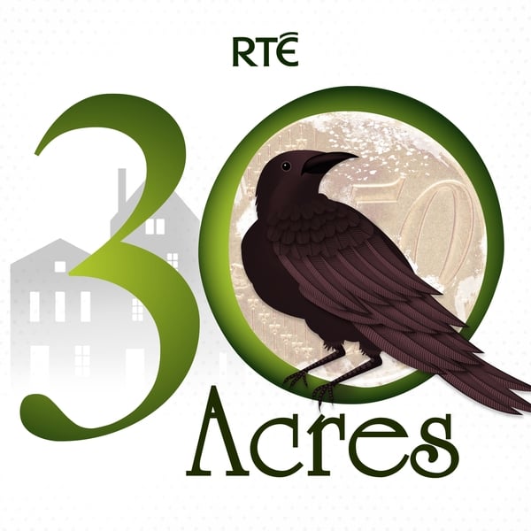 30 acres podcast illustration with image of bird on silouhette of houses