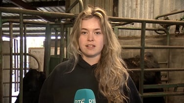 First veterinary medicine programme in Connacht, Ulster to be launched at ATU