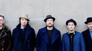 Steve Wall  show image