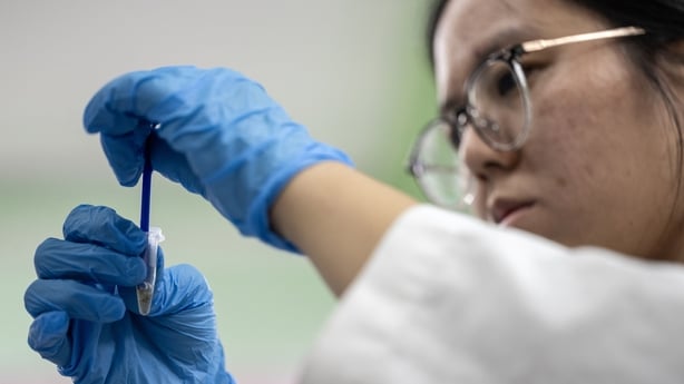 Postdoctoral researcher Lim Li with a bed bug sample at a laboratory of the Science University of Malaysia (USM) in George Town, on Penang island