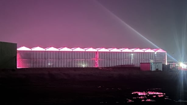 Pink light is seen coming out from a shed of Keelings Fruit Farm 