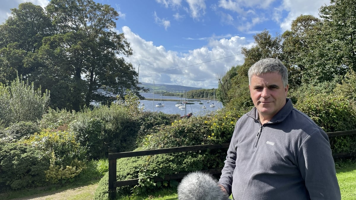 Up close and personal with Ireland’s largest oak tree