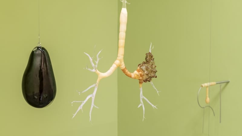 Vague Symptom Clinic is showing at Dublin's Project Arts Centre (Pics: Louis Haugh)