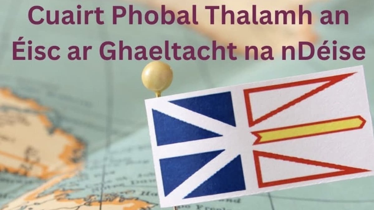 Cecily Ní Loinnsigh