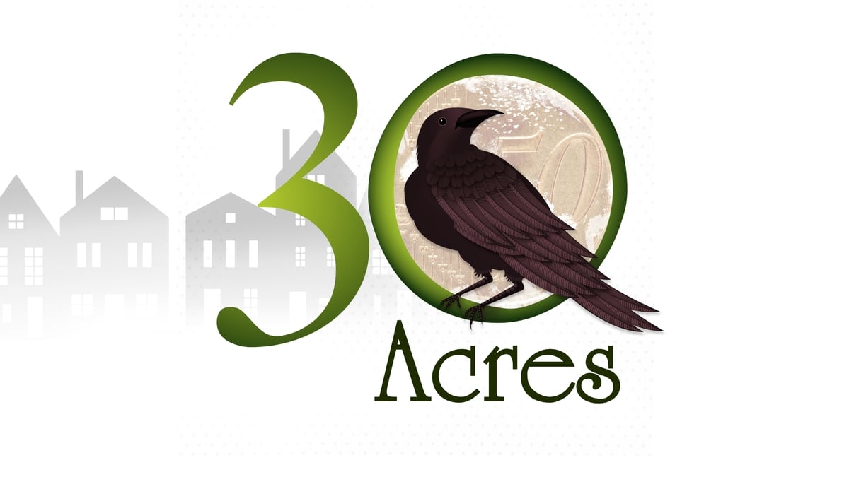 30 Acres by Colm Tobin and Aidan O'Donovan