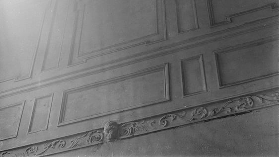 Georgian plasterwork, Henrietta Street, Dublin (1966)