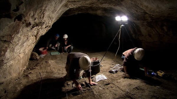 People search for bones in a dark cave