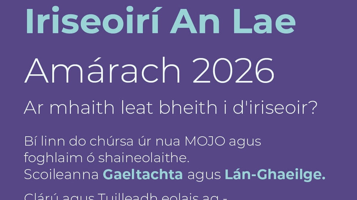 Conall Ó Máirtín, Eagarthóir Oideachais TG4 agus TG4 Foghlaim.
