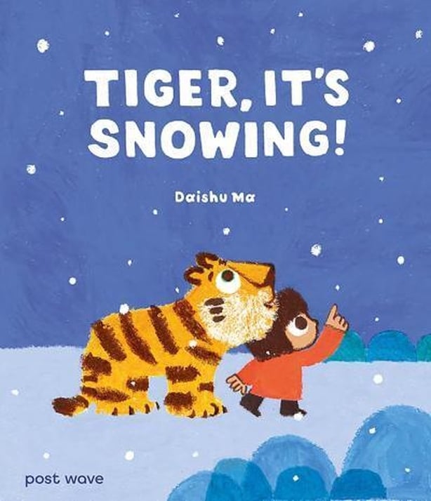A book cover with a drawing of a little boy and a tiger looking to a snowy sky and text Tiger It's Snowing