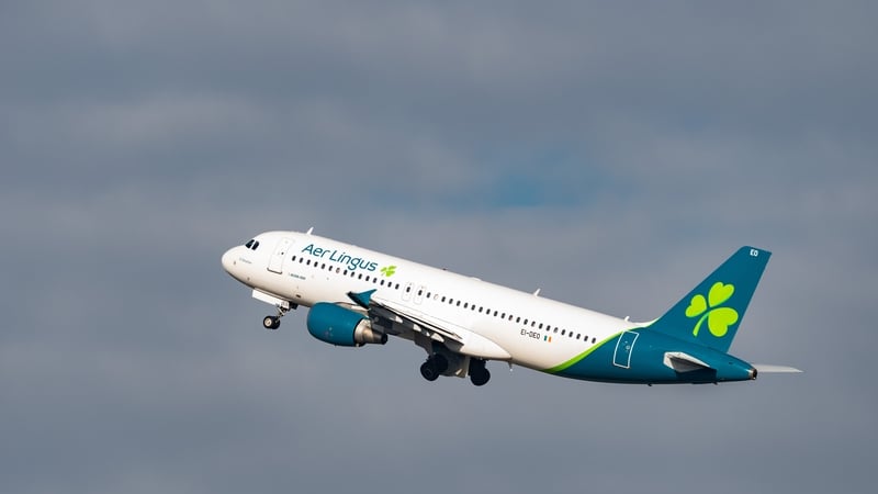Aer Lingus cuts number of flights from summer schedule