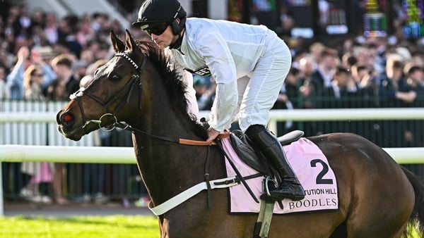 Kildare , Ireland - 2 May 2025; Jockey James Bowen and Constitution Hill go to post before the Boodles Champion Hurdle on day four of the Punchestown Festival at Punchestown Racecourse in Kildare. (Photo By Seb Daly/Sportsfile via Getty Images)