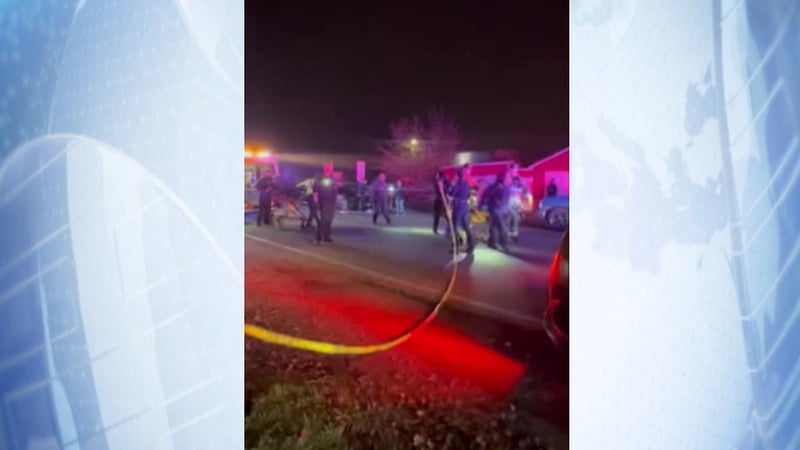 Four killed in shooting at child's party in California