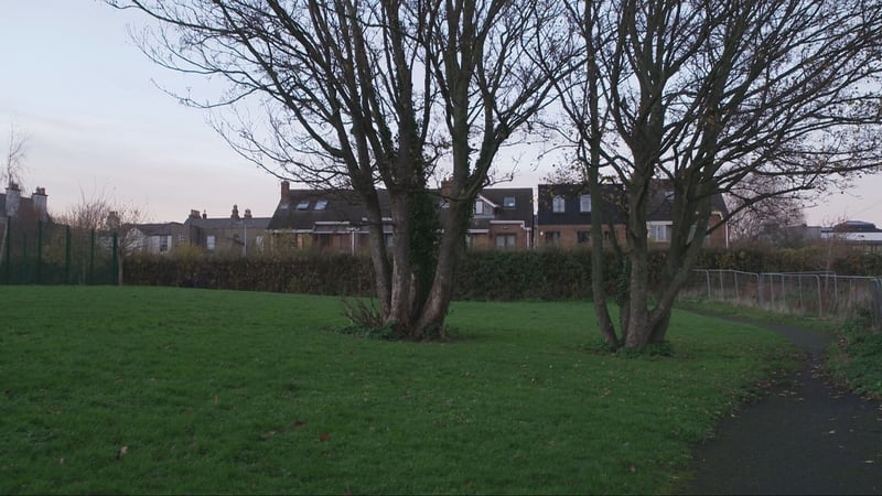 Dublin city councillors were due to vote on a motion to rename the park in Rathgar this evening