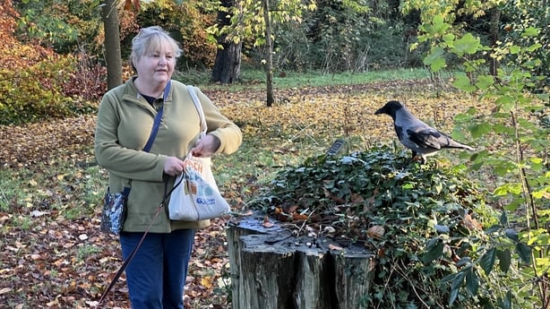 Mooney Goes Wild listener Mary O'Reilly with Hooded Crow in St. Anne's Park, Dublin (photo by Terry Flanagan)