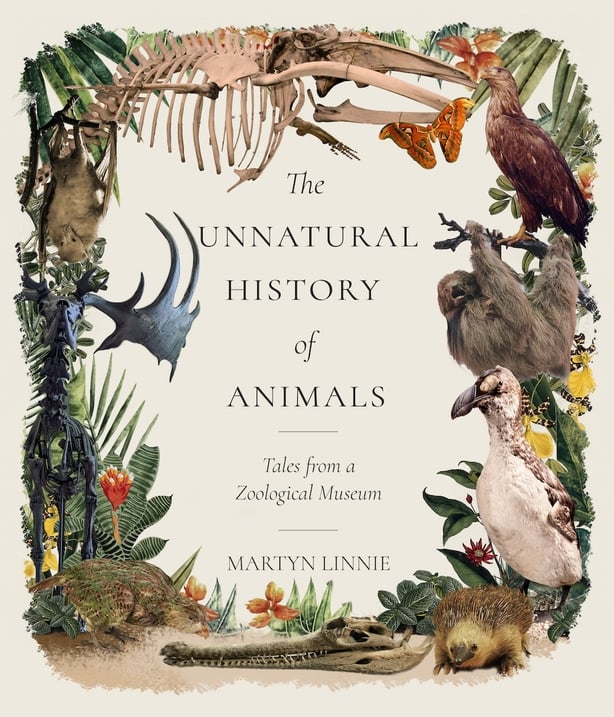 The Unnatural History Of Animals