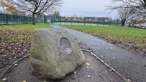 Dublin City Council to discuss Herzog Park renaming vote show image