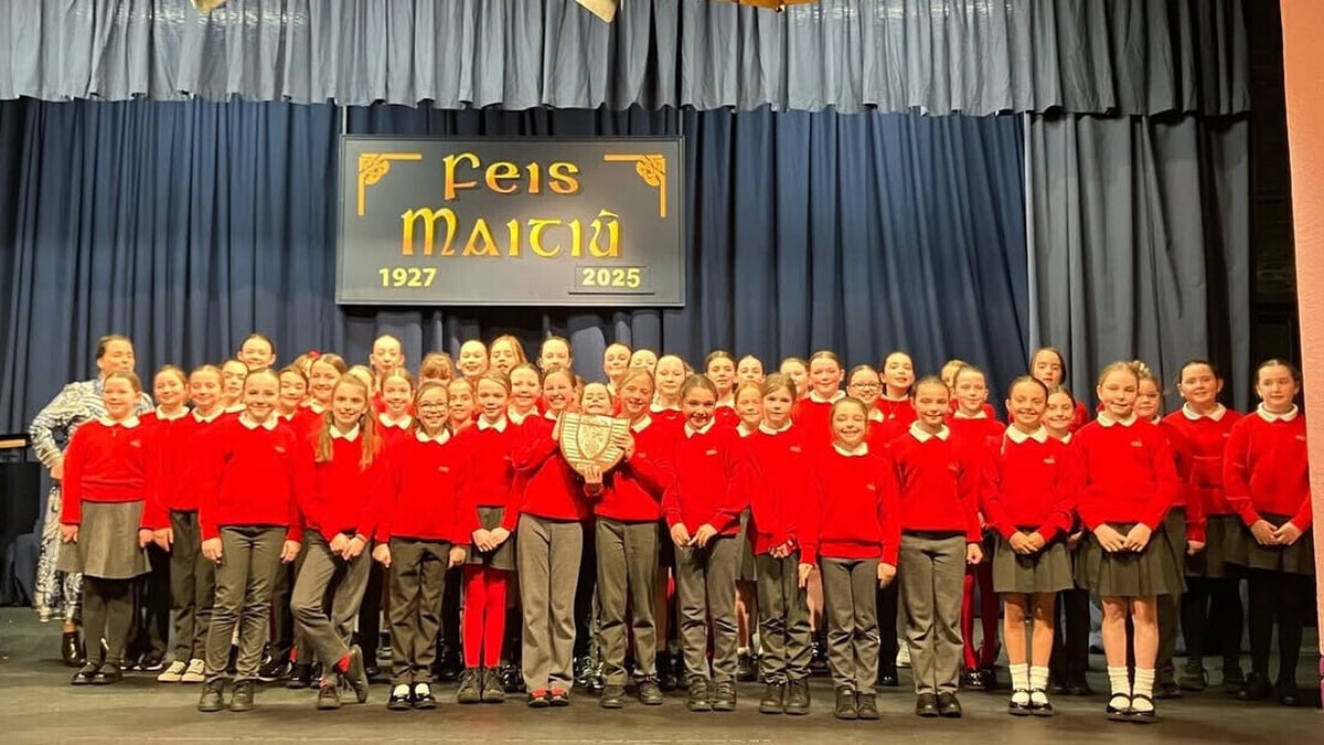 Gaelscoil Uí Drisceoil, Glanmire, Cork | Somewhere in my Memory