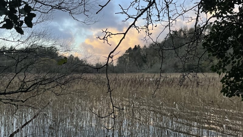 Litsen to Ambient Orbit: a carefully crafted mix of ambient sounds and field recordings that allows the listener to reset and escape the noise of everyday life.