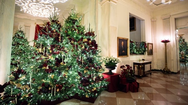 Christmas trees in the Cross Hall of the White House