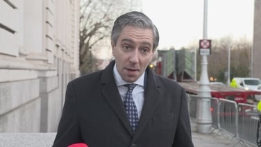 'Day to show solidarity with Ukraine' - Tánaiste