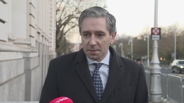 Irish communities opened hearts and homes to Ukrainian refugees - Tánaiste