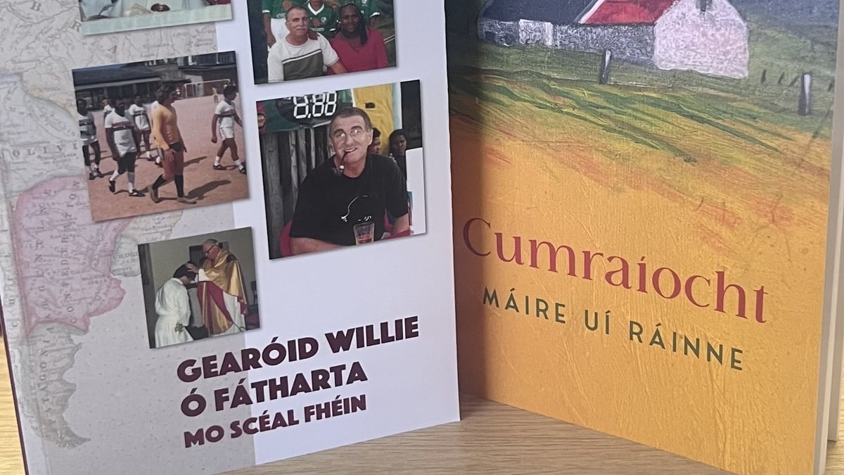 Máire Uí Ráinne, Scríbhneoir