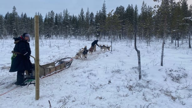 Husky ride in Lapland