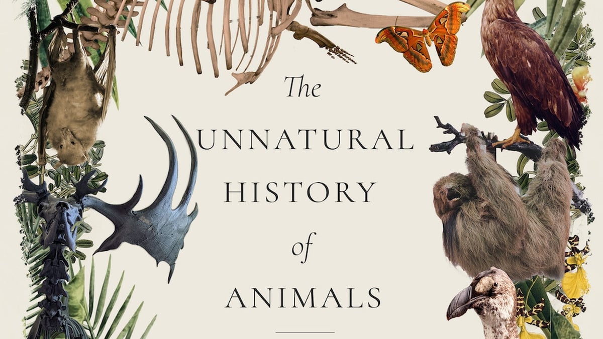 The Unnatural History of Animals: Tales from a Zoological Museum