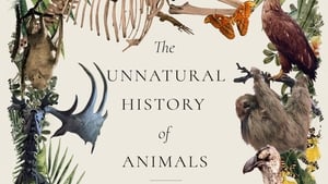 The Unnatural History of Animals: Tales from a Zoological Museum show image