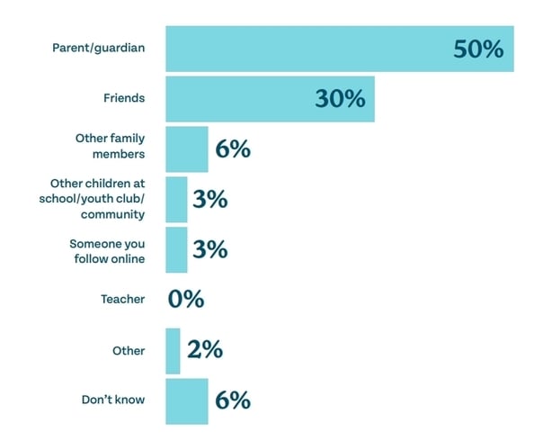 Screen grab from survey carried out by OCO - Pic - Ombudsman for Children's Office