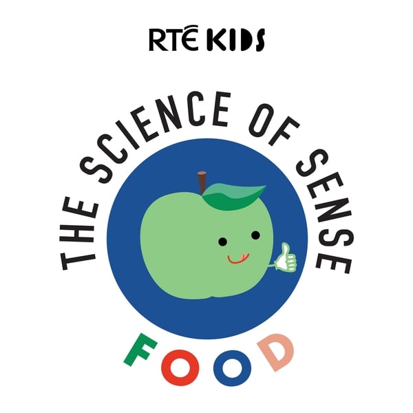 The-Science-of-Sense