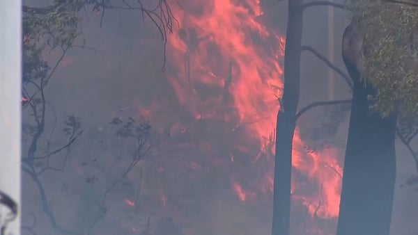 Australia bushfires destroy homes in New South Wales