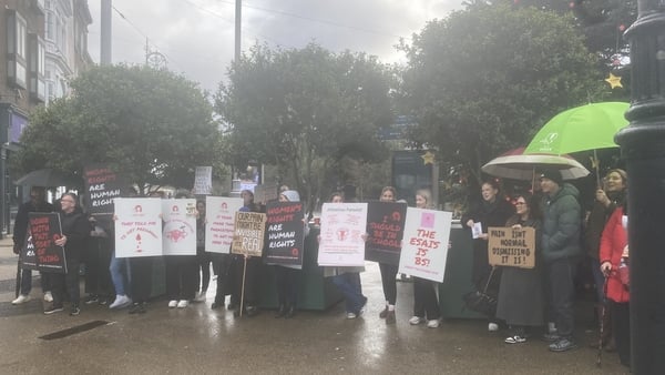 Endometriosis protest outside Leinster House