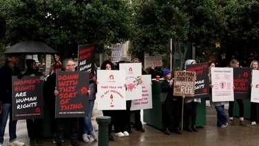 Protestors call for better endometriosis support